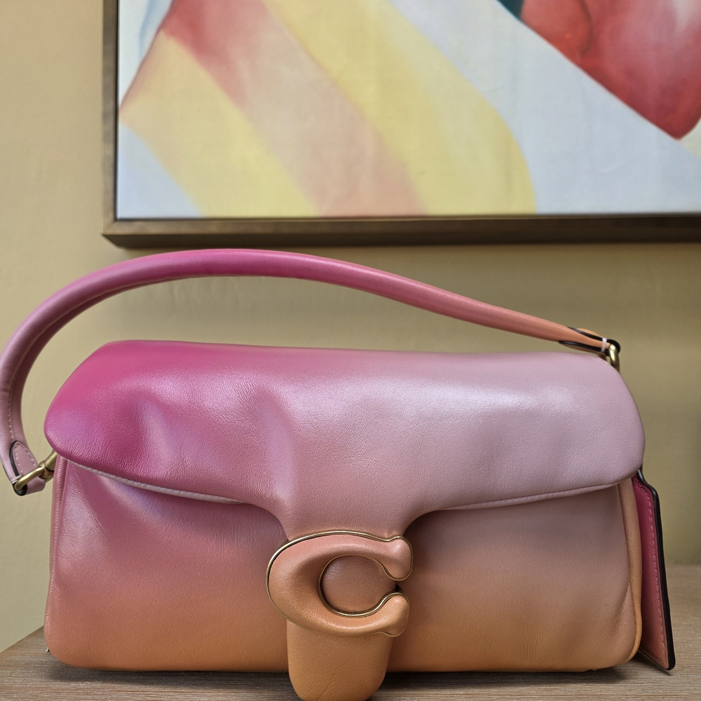 Coach Pillow Tabby Ombre 26